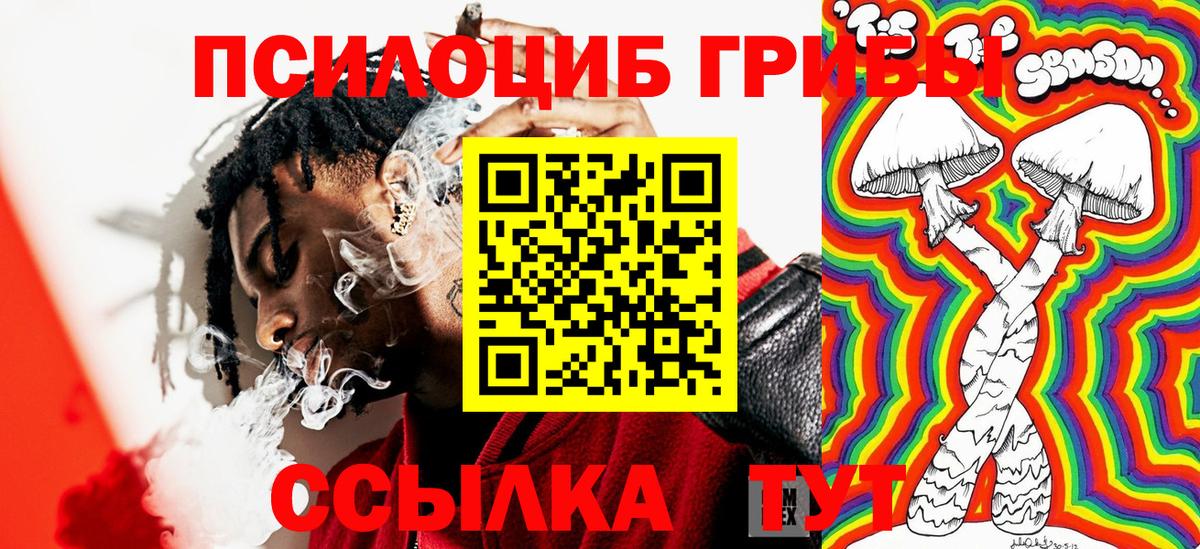 Псилоцибиновые грибы Magic Shrooms  Гусев 