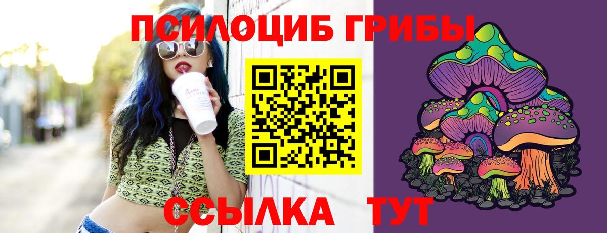 Галлюциногенные грибы Psilocybine cubensis  Вход с VPN  Гусев 